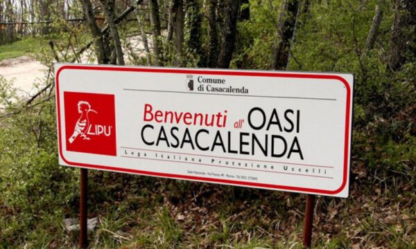 L’oasi Lipu di Casacalenda (Cb) diventa riserva “Bosco Casale”
