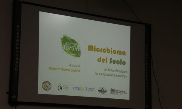 Libro: i microrganismi utili in agricoltura a cura del “molisano” Sellitto
