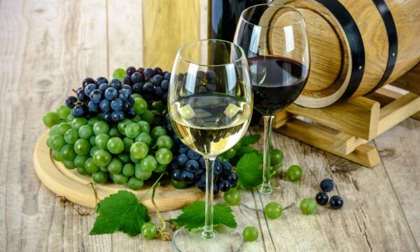 Turismo del vino, presentato il  XVI Rapporto