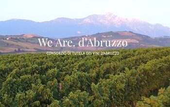 Premiato il Consorzio tutela vini d’Abruzzo