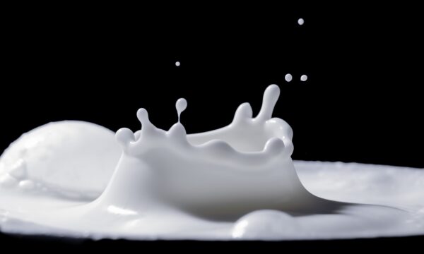 Il latte, “l’acqua vestita da sposa”
