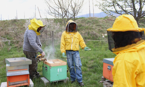 Le “api di comunità” dell’Alto Molise